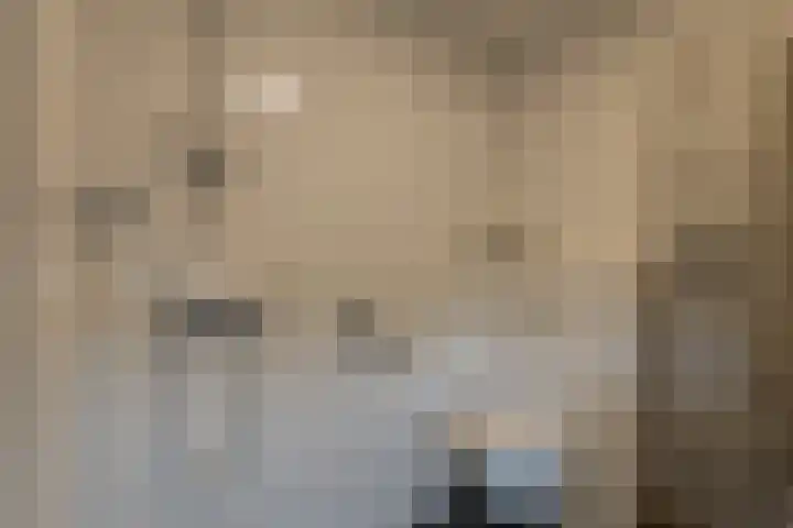 Schokker 22 A Velserbroek thumbnail 51