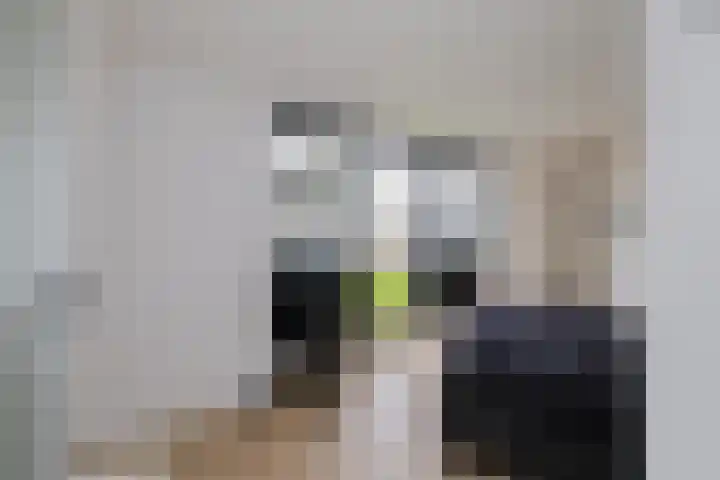Schokker 22 A Velserbroek thumbnail 54