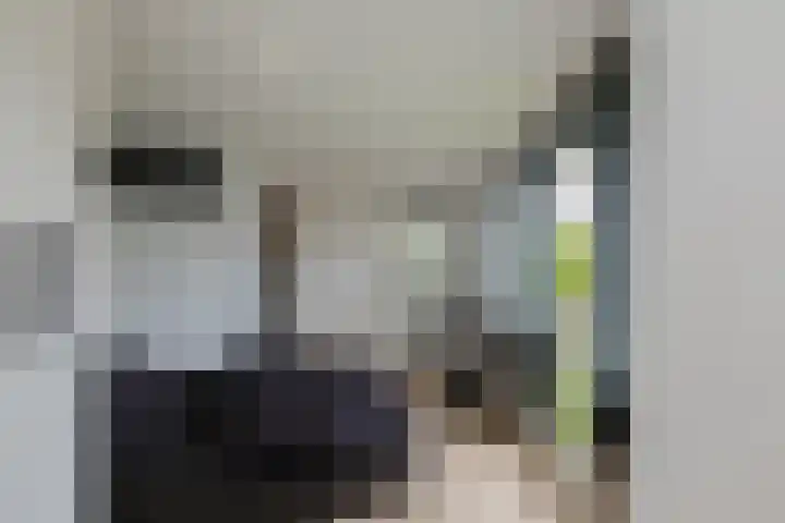 Schokker 22 A Velserbroek thumbnail 55