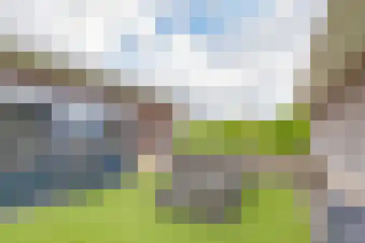 Schokker 22 A Velserbroek thumbnail 59