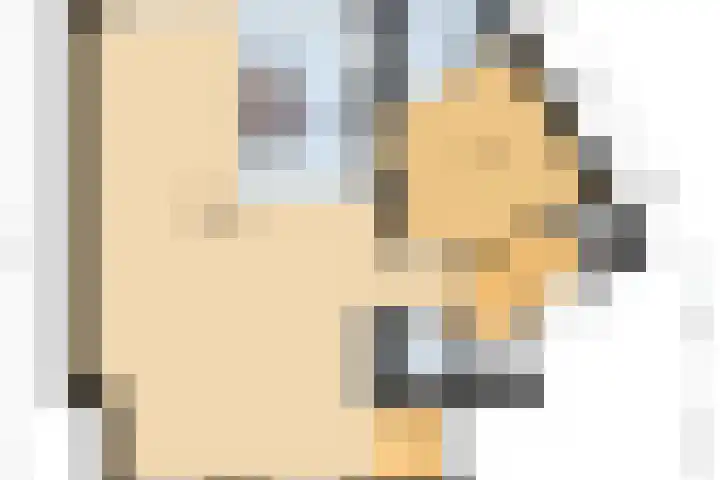 Schokker 22 A Velserbroek thumbnail 6