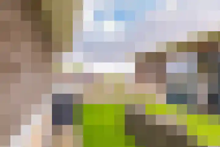 Schokker 22 A Velserbroek thumbnail 60