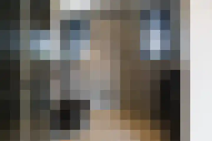 Schokker 22 A Velserbroek thumbnail 63