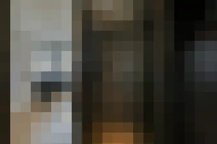 Schokker 22 A Velserbroek thumbnail 64