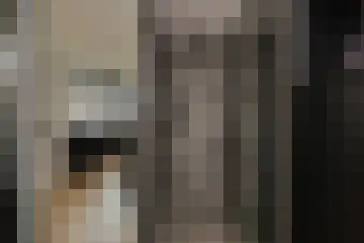 Schokker 22 A Velserbroek thumbnail 65