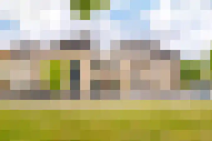 Schokker 22 A Velserbroek thumbnail 8