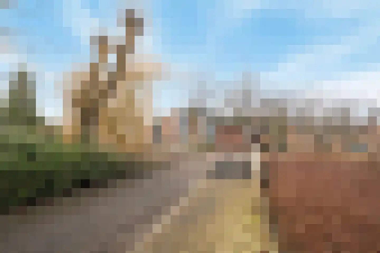 Schokker 26 Barendrecht thumbnail 31