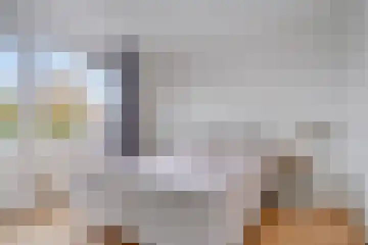 Schokker 32 Zeewolde thumbnail 19