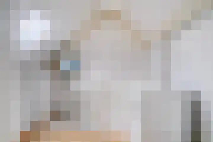 Schokker 32 Zeewolde thumbnail 28