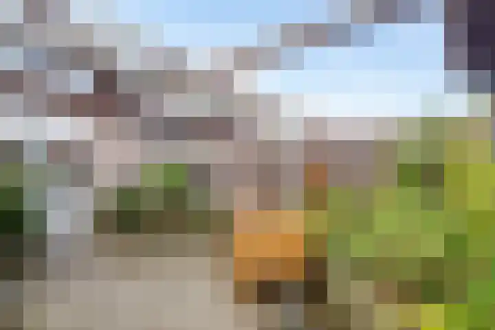 Schokker 32 Zeewolde thumbnail 32