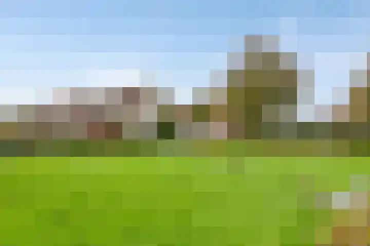 Schokker 32 Zeewolde thumbnail 35