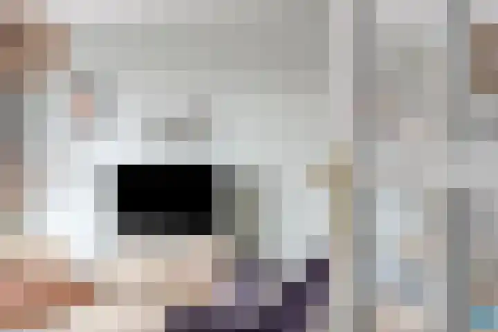 Schokker 32 Zeewolde thumbnail 8