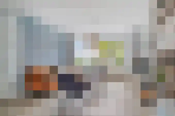 Schokker 32 Zeewolde thumbnail 9