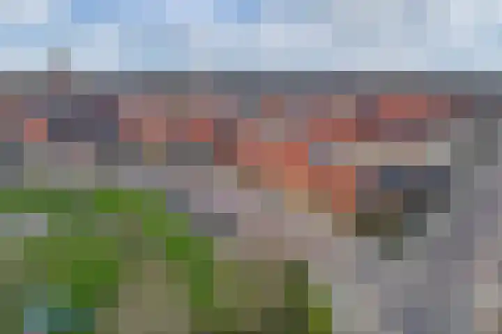 Schokker 41 Urk thumbnail 12