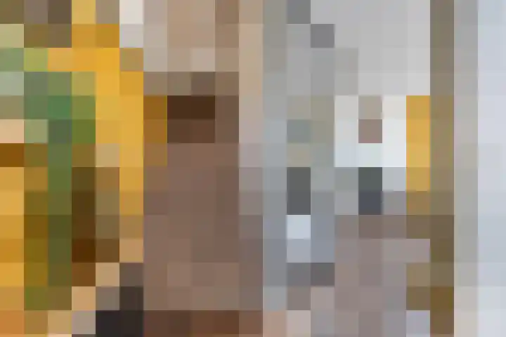 Schokker 41 Urk thumbnail 13