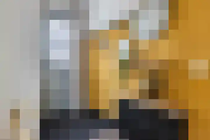 Schokker 41 Urk thumbnail 14