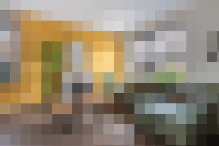 Schokker 41 Urk thumbnail 15
