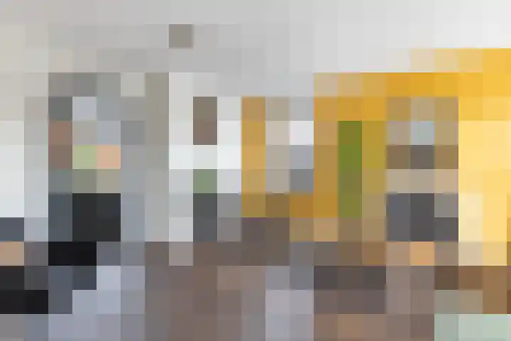 Schokker 41 Urk thumbnail 16