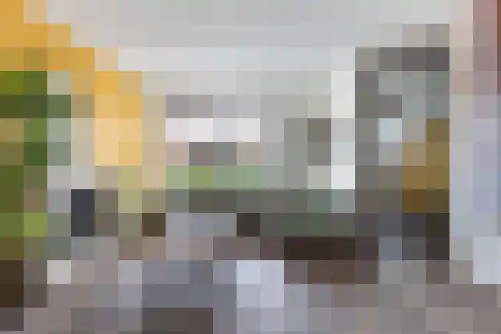 Schokker 41 Urk thumbnail 18