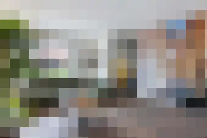 Schokker 41 Urk thumbnail 19