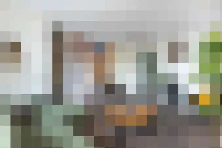 Schokker 41 Urk thumbnail 20