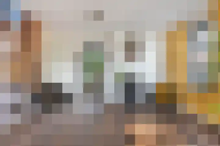 Schokker 41 Urk thumbnail 21