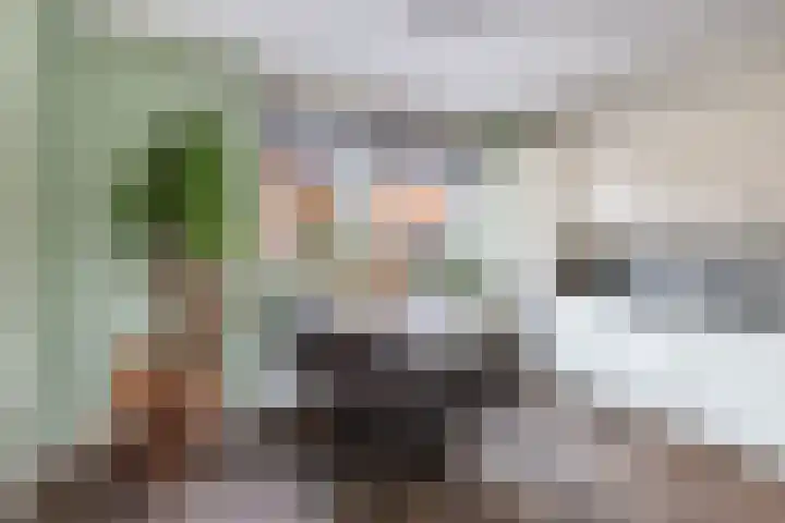 Schokker 41 Urk thumbnail 22