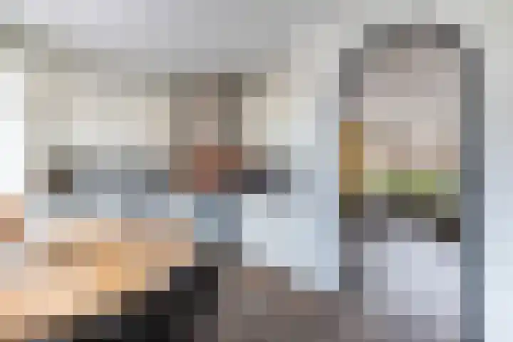 Schokker 41 Urk thumbnail 24