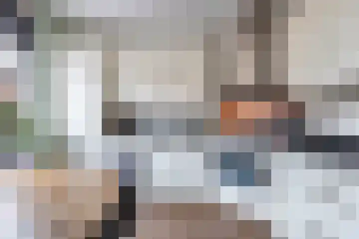 Schokker 41 Urk thumbnail 25