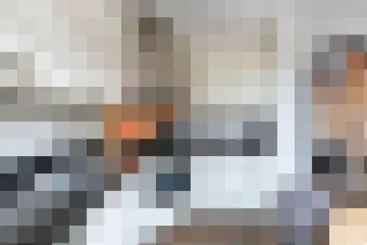 Schokker 41 Urk thumbnail 26