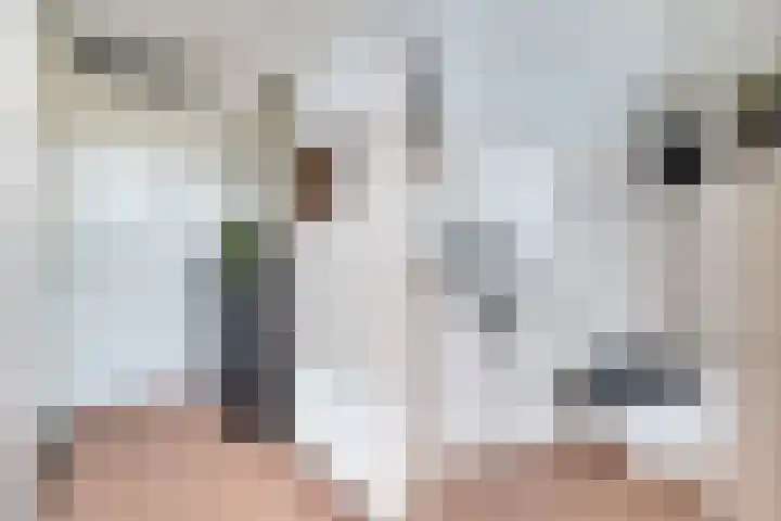 Schokker 41 Urk thumbnail 27