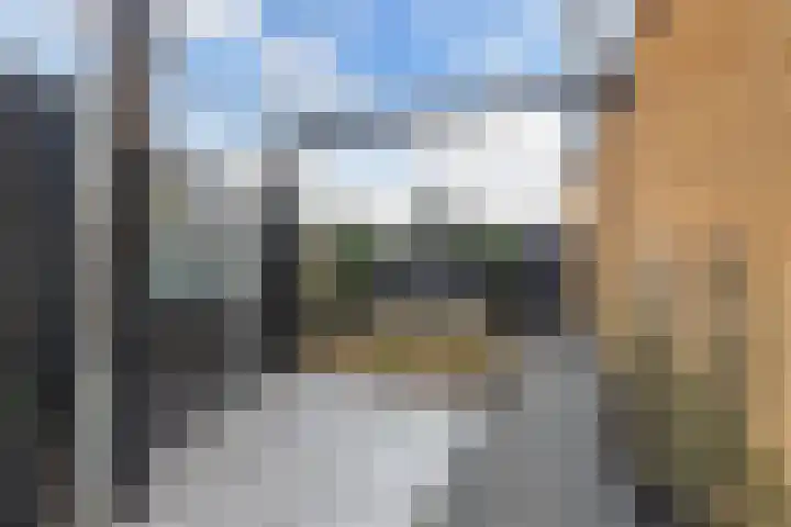 Schokker 41 Urk thumbnail 29