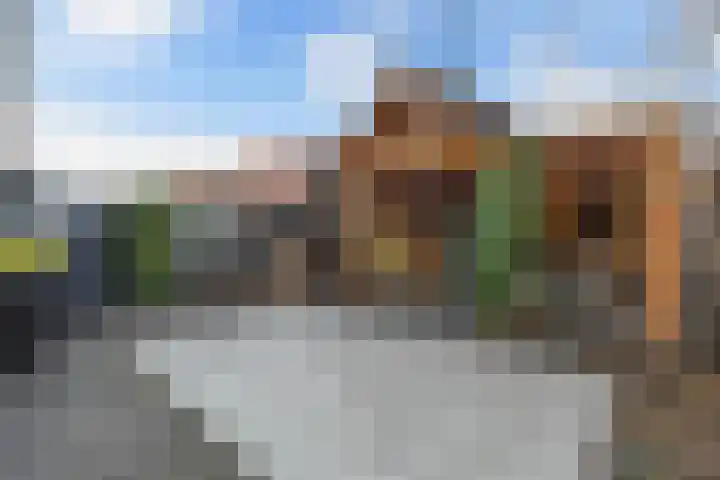Schokker 41 Urk thumbnail 30