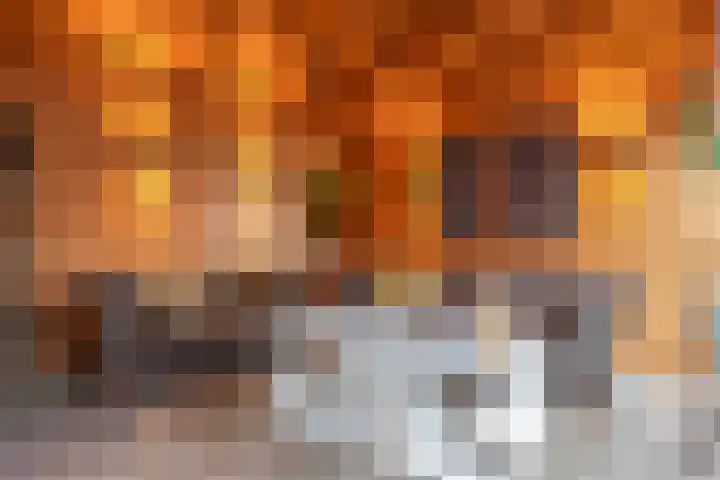 Schokker 41 Urk thumbnail 33