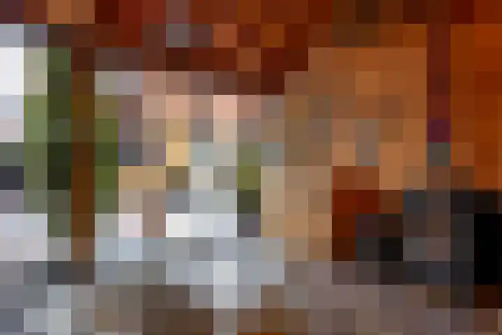 Schokker 41 Urk thumbnail 35