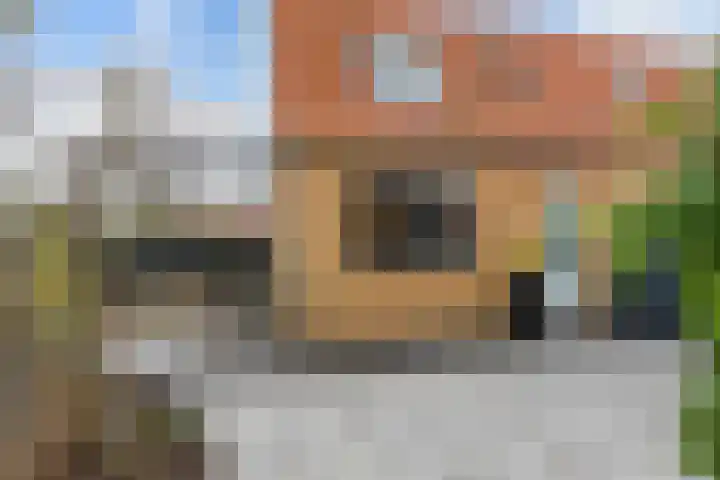 Schokker 41 Urk thumbnail 36