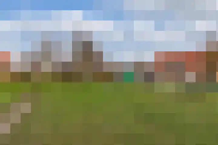 Schokker 41 Urk thumbnail 38