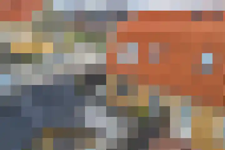 Schokker 41 Urk thumbnail 39
