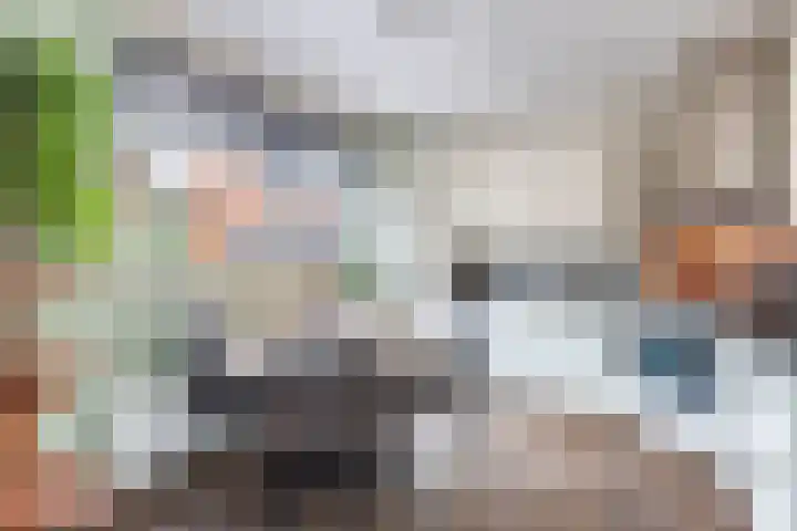 Schokker 41 Urk thumbnail 4