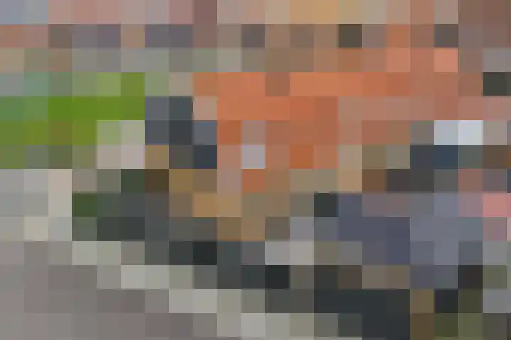 Schokker 41 Urk thumbnail 40