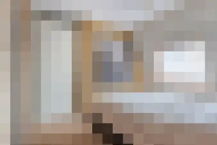 Schokker 41 Urk thumbnail 43