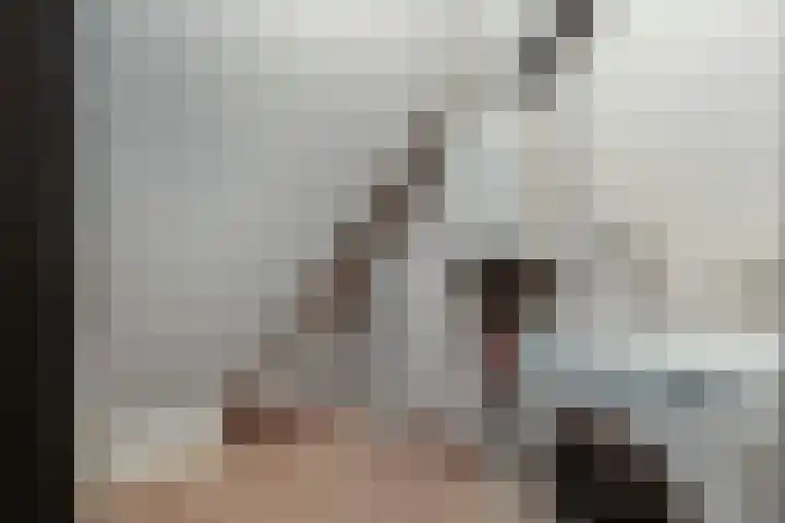 Schokker 41 Urk thumbnail 46
