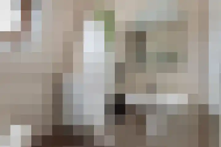 Schokker 41 Urk thumbnail 47