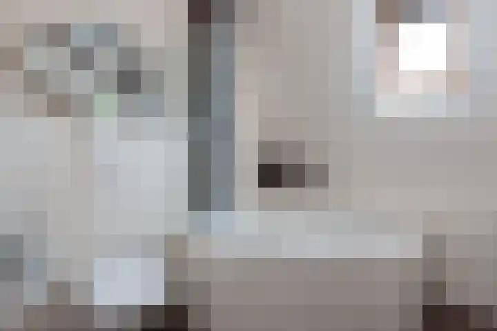 Schokker 41 Urk thumbnail 48