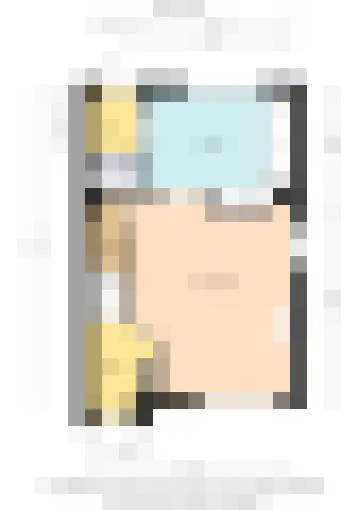 Schokker 41 Urk thumbnail 50