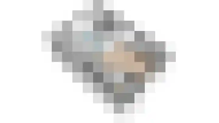Schokker 41 Urk thumbnail 51