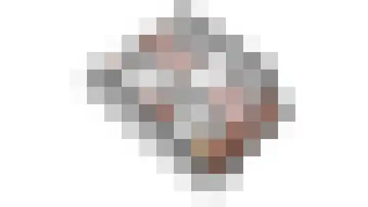 Schokker 41 Urk thumbnail 53