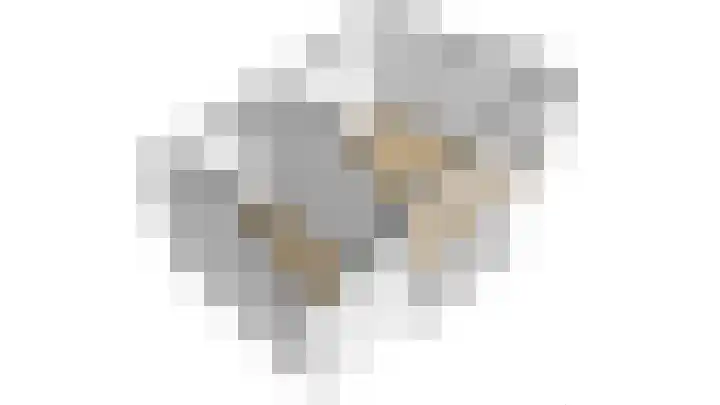 Schokker 41 Urk thumbnail 57