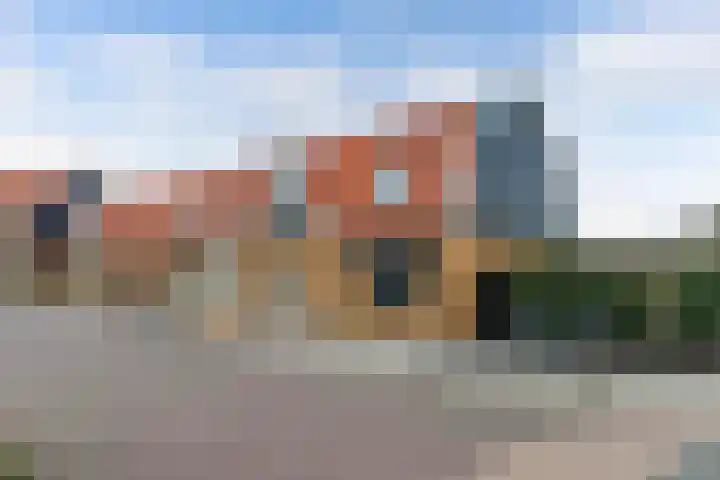 Schokker 41 Urk thumbnail 7