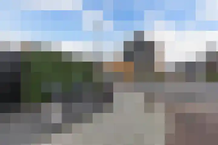 Schokker 41 Urk thumbnail 8